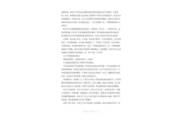 中国魂的演讲稿