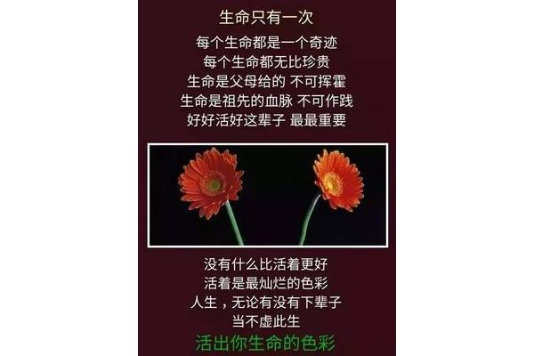 人生无常心安即是归处
