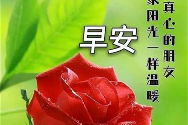 好心情早安心语