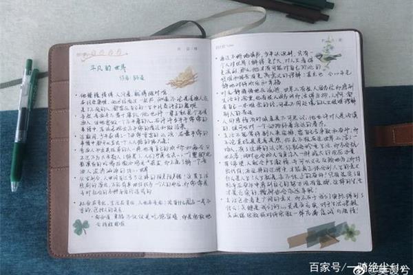 平凡的世界读书笔记800字