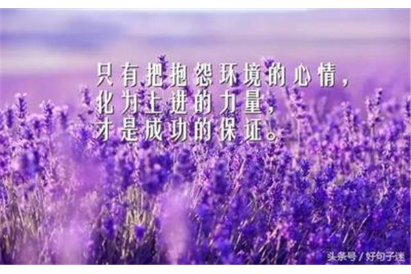 早安心情语录