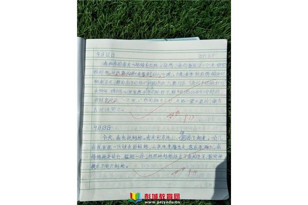 日记快乐的一天