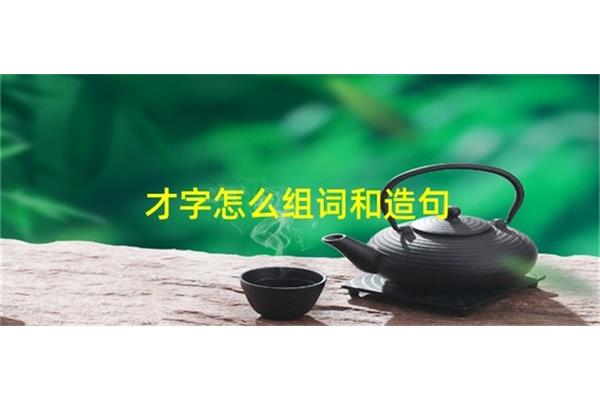 才字怎么造句