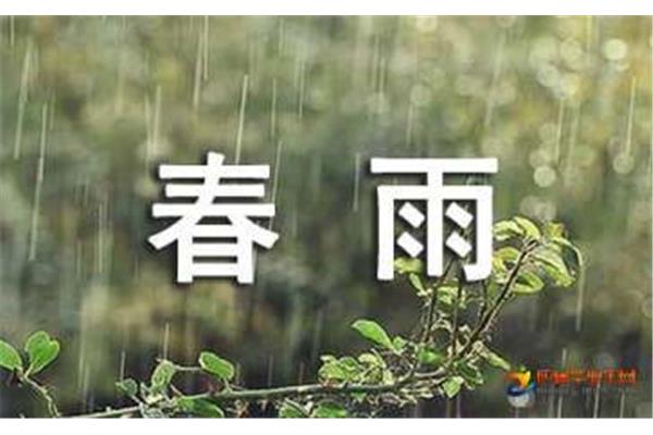 春雨的日记一年级