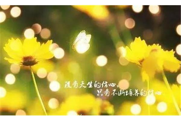 心情短语唯美