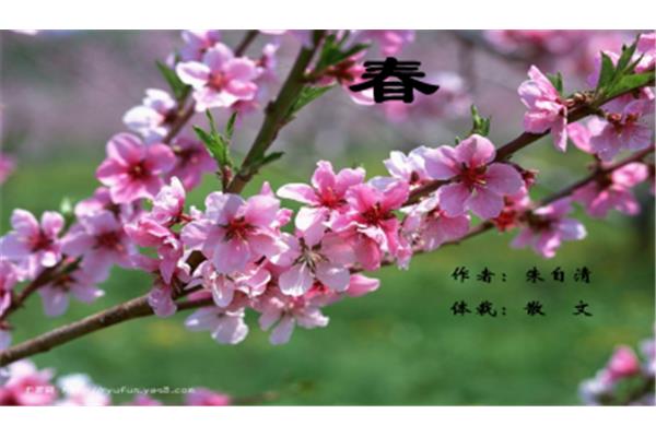 春夏秋冬散文