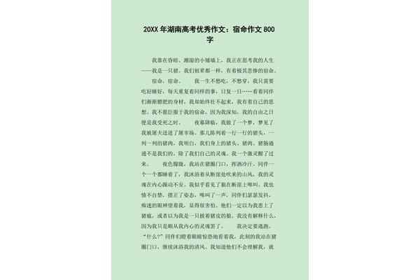 选择的议论文