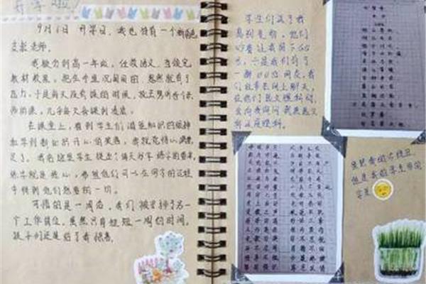 观察生活日记